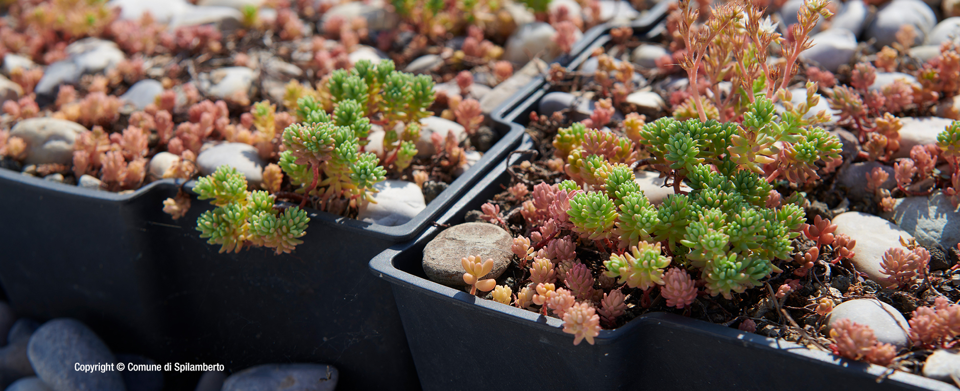École maternelle, Spilamberto, Italie 7